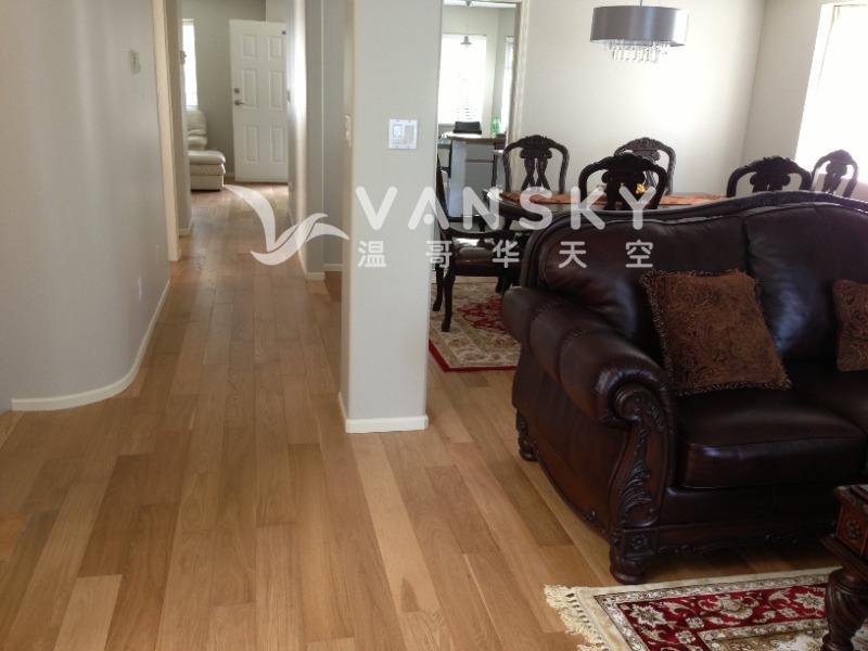 230309090424_dining room 2.JPG